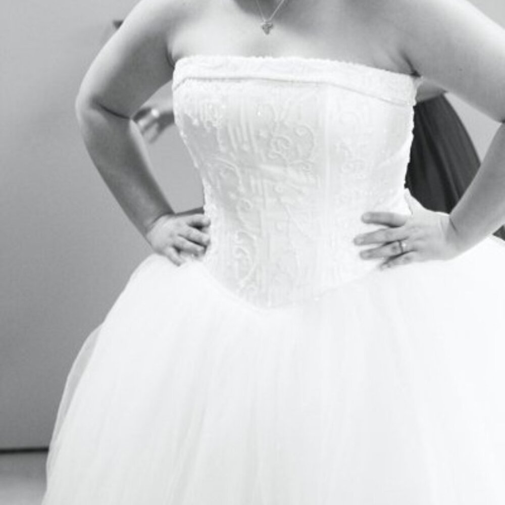 Michelangelo (David's Bridal) NT8017 Wedding Dress WORN ONCE, Great Condition!